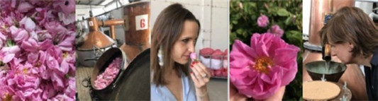 Givenchy纪梵希「倾城香水」热情登场  纪梵希 香水 玫瑰 givenchy 自由 魅力 悦动 雪松 香调 新品 第6张