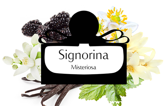 菲拉格慕香水什么档次,菲拉格慕香水怎么样 香水 第1张 菲拉格慕香水什么档次,菲拉格慕香水怎么样 香水 第1张