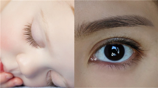 薇佳上市就疯抢，网友纷晒图「睫毛长到不可思议」  第2张