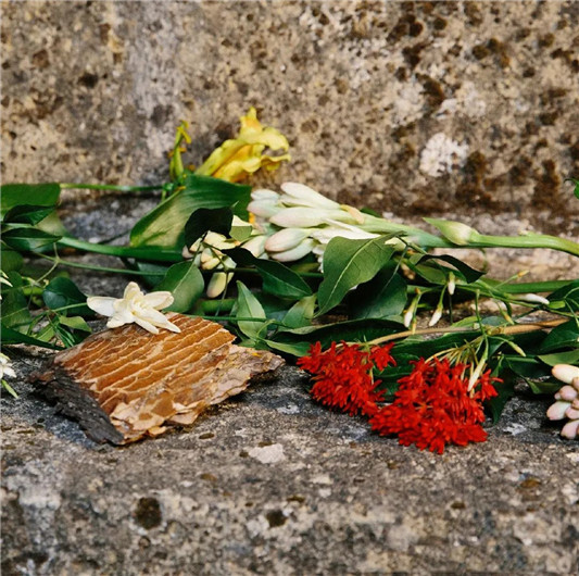 古驰Gucci黄**loom新香上市  古驰 香水 第4张