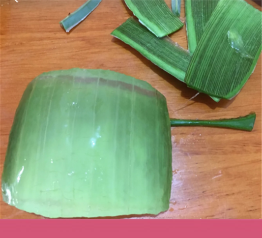 刚摘的芦荟怎么做面膜，鲜芦荟怎么做面膜  芦荟 第3张