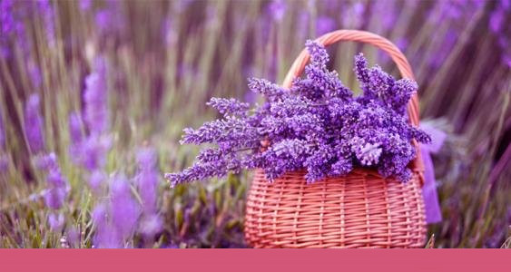 香水的作用与用途，香水的功效与作用  香水 第2张