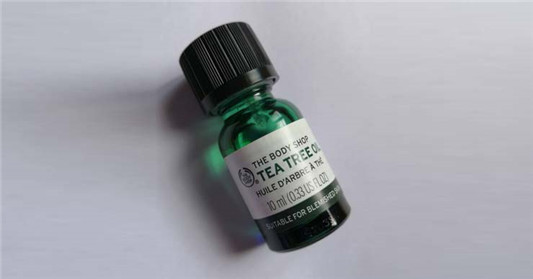 茶树精油能去痤疮吗，如何使用茶树精油去痤疮  茶树 茶树精油 第1张