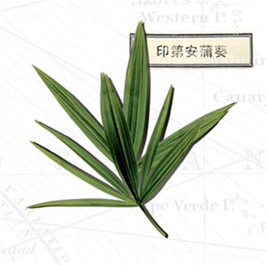 悦木之源净痘凝胶评测，使用方法，适用人群  悦木之源 悦木之源净痘凝胶 悦木之源系列产品 第3张