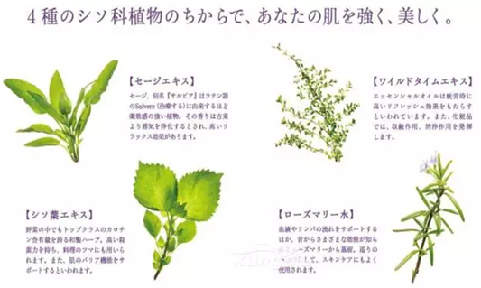 消除闭口的小霸王爽肤水，油皮亲妈，闭口克星来啦  爽肤水 化妆水 第11张