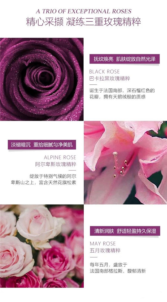 sisley希思黎黑玫瑰焕采精华霜「抗初老 弹嫩澎润」  希思黎 精华霜 第3张