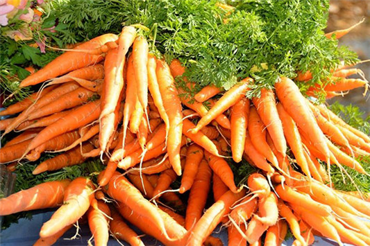 维他命有什么用对皮肤 维他命 第3张