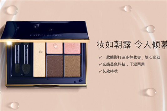 哪款眼影盘比较好用 眼影盘 雅诗兰黛 第10张