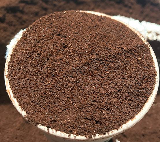 咖啡渣可以去黑眼圈吗 黑眼圈 咖啡渣去黑眼圈 美妆 第2张