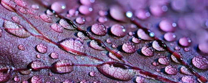 脸部祛斑美白方法 祛斑美白 美妆 第3张