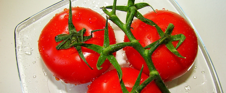 吃西红柿可以祛斑吗 西红柿 祛斑 美妆 第3张