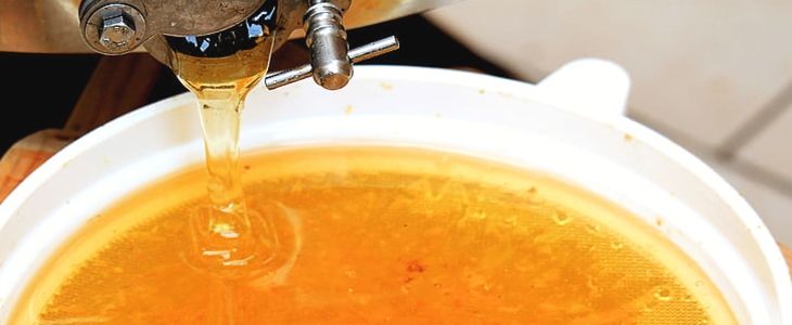 蜂蜜酸奶面膜如何制作 蜂蜜酸奶面膜 美妆 第3张 蜂蜜酸奶面膜如何制作 蜂蜜酸奶面膜 美妆 第3张