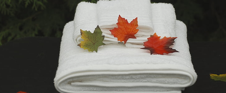 每天喝牛奶能美白吗 牛奶 美白 美妆 第3张