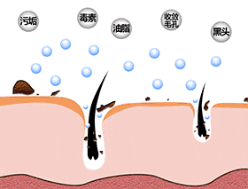 值得回购的清洁面膜有哪些 黑头 清洁 清洁面膜 美容 第15张