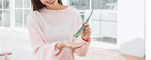 芦荟胶的功效和作用，芦荟胶含有酒精成分吗 护肤 第1张