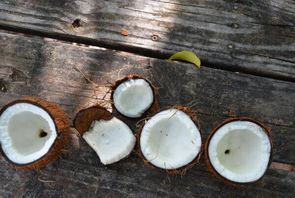 椰子油怎么护肤，原来它对皮肤有这么多好处... 护肤 第5张