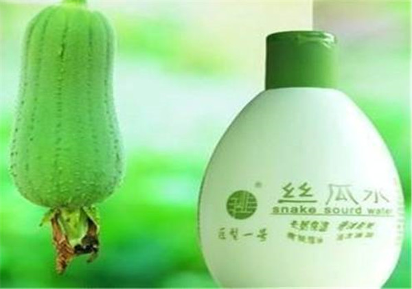 丝瓜水的功效与作用和副作用有哪些 丝瓜水 丝瓜水功效 美妆 第1张