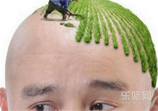 头发细软怎么变粗  护肤 第4张