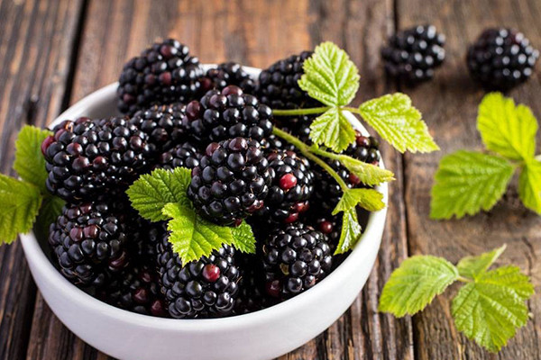 可以帮助我们抗衰老抗氧化的食物 抗氧化 第1张