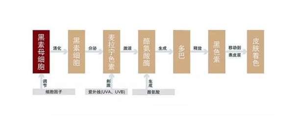 油性肌肤适合哪款精华液，不含油脂的精华液不含油脂的精华液  油性肌肤 精华液 第10张