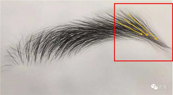 细弯眉妆容打造超强时尚感和精致度，细弯眉画法 细弯眉 时尚感 第31张