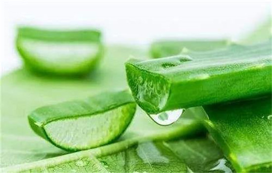 芦荟水可以当爽肤水用吗，芦荟水的正确使用方法
