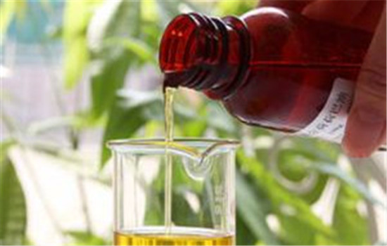 荷荷巴油能去黑头吗，荷荷巴油怎么去黑头