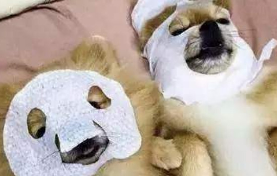 敷面膜会让纹眉掉色吗，这些小问题你是否会注意