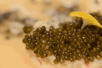 斯坦福大学皮肤科教授建议，鱼子酱用来护肤不如口服