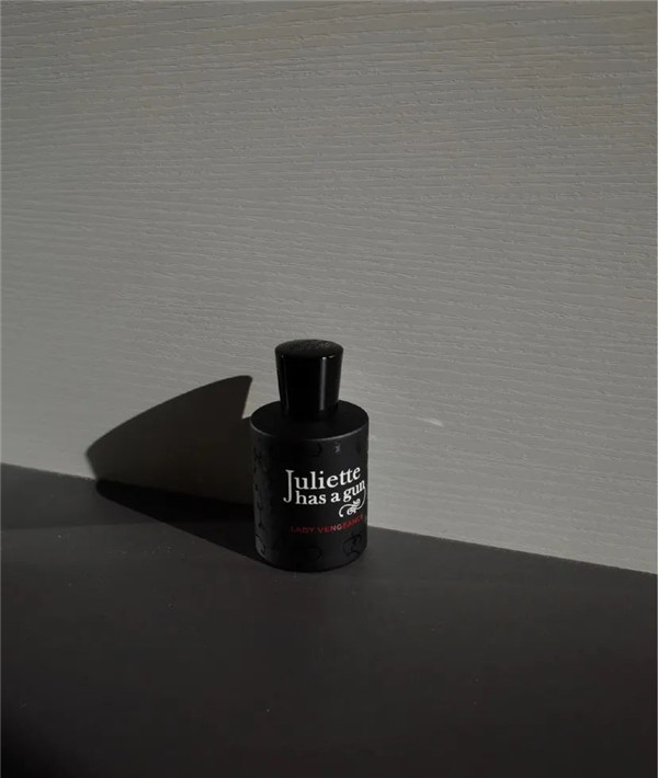 好一个复仇女神香