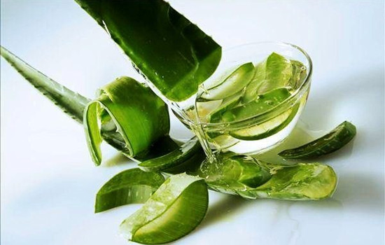 新鲜芦荟怎么做爽肤水，简单秘方还你水嫩肌肤