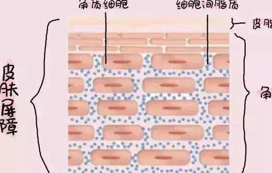 怎么灌肤，灌肤是什么意思需要怎么做