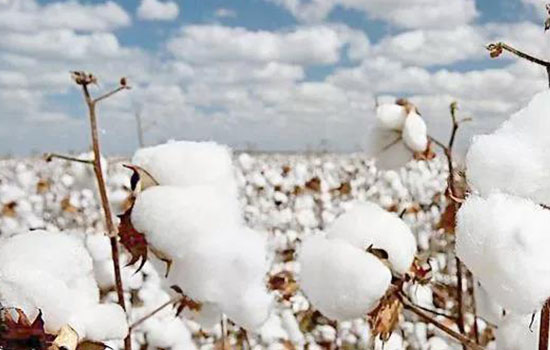 棉柔巾洗脸步骤，你还在用毛巾洗脸吗