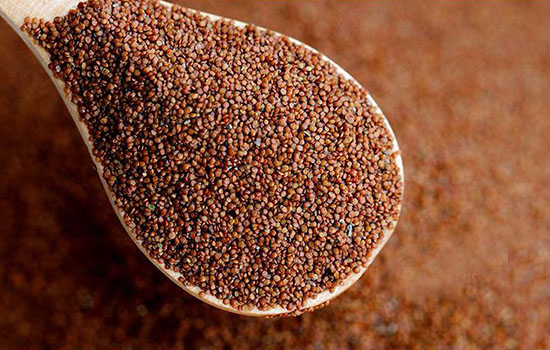 敷海藻面膜前可以涂芦荟胶吗，海藻面膜怎么调制