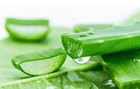 敷海藻面膜后可以涂芦荟胶么，这样做令皮肤光滑有弹性