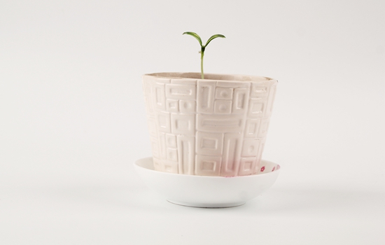 海藻面膜发芽的好还是不发芽的好，消费者一定要引起注意