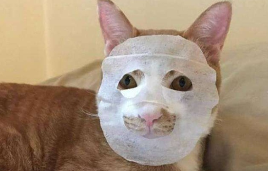 纳米喷雾补水仪先用还是面膜先用，这才是正确的打开方式