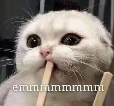 安瓶精华哪个牌子好