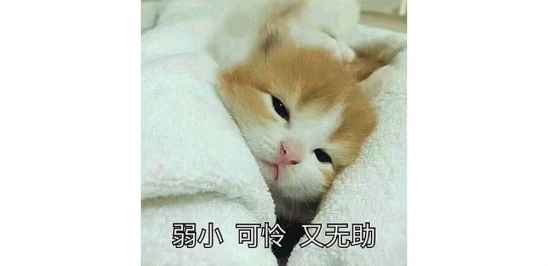 秋冬粉底液推荐