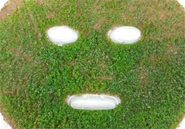 海藻面膜能去黑头吗， 能加蜂蜜吗