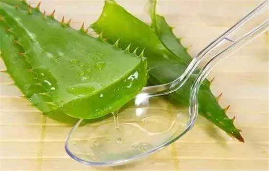 用芦荟敷脸能够祛斑吗，芦荟可不是万能的哟