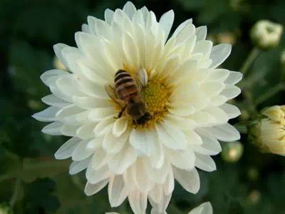 如何美白淡斑小妙招，这七个小妙招快收下