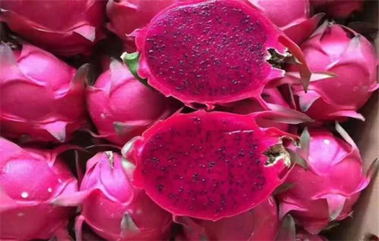 红火龙果的功效与作用，火龙果皮竟然还有这样的功效