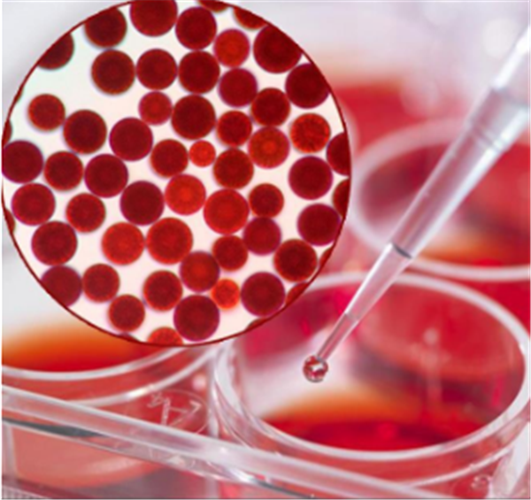 虾青素的副作用很大虾青素擦脸的副作用