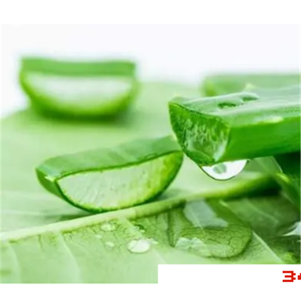 芦荟灌肤品牌有哪些，芦荟灌肤哪个品牌好