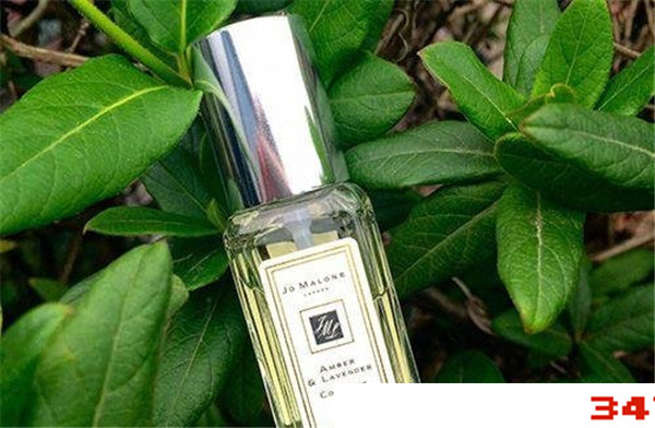 祖马龙属于什么档次，祖马龙是什么档次