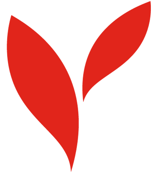 这是一夜之间摆脱青春痘的确切方法