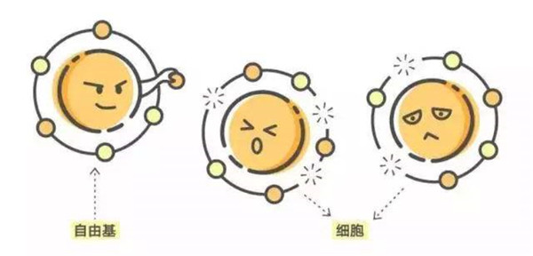 想要比同龄人老得慢,坚持这3个好习惯,皮肤会逐渐细腻有光泽