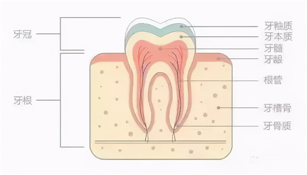 牙齿为什么越来越黄?常见的三种美白方式了解一下