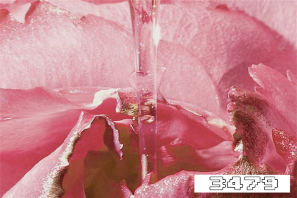 兰蔻菁纯柔肤水怎么样，兰蔻菁纯柔肤水适合什么肤质